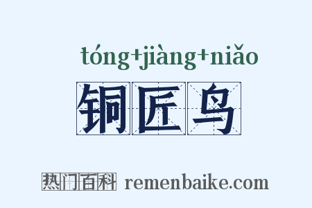 铜匠鸟是什么意思的图片